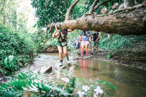 BIB: 
                            <button type="button" onclick="openModal(25514016)" class="btn btn-primary btn-sm float-right btn-popup" data-toggle="modal" data-target=".modal-high-quality">
                        <i class="fas fa-shopping-cart"></i> Add to Cart
                    </button>
                                            <button type="button" onclick="isThisMe(25514016, true)" class="btn btn-success btn-sm float-right btn-popup btn-isme hidden" data-toggle="tooltip" data-placement="bottom" title="นี่คือรูปของคุณใช่ไหม คลิกที่นี่เพื่อเอาเข้าอัลบั้ม">
                        <i class="fas fa-plus"></i> Add to album
                    </button>
                    <button type="button" onclick="isThisMe(25514016, false)" class="btn btn-warning btn-sm float-right btn-popup btn-isnotme hidden">
                        <i class="fas fa-ban"></i> Remove from album
                    </button>